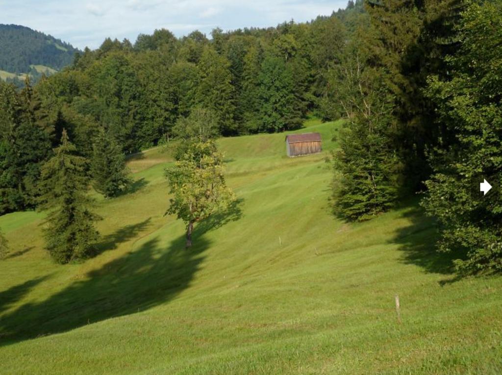 Berghof Voeglerbrand Villa Andelsbuch Exterior photo